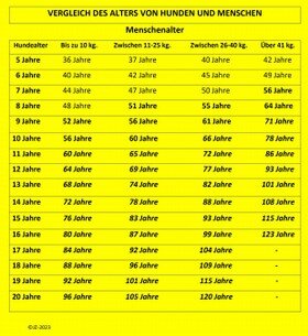 Der Vergleich zwischen dem Alter von Hunden und Menschen ist 