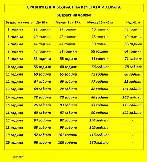 Старата поговорка, че една кучешка година се равнява на седем 
